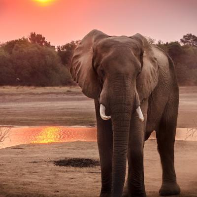 Navigating the Subconscious Mind: Unleashing Your Inner&nbsp;Potential